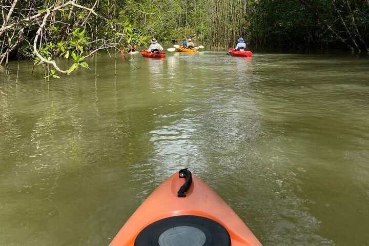 Kayak Mangrove Tour in Manuel Antonio  - Photo 1 of 5